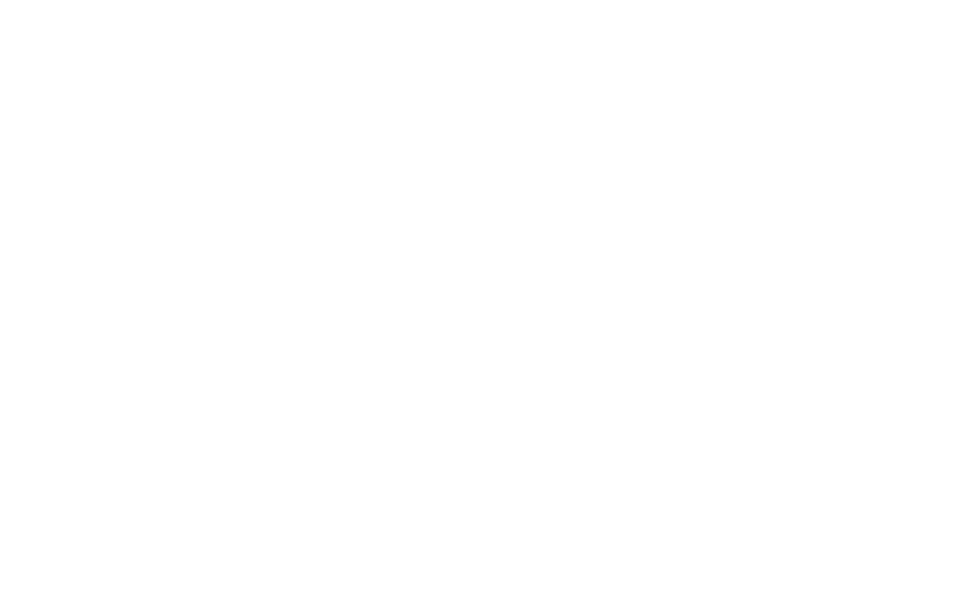 logo light